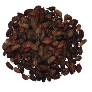 Neem Seeds