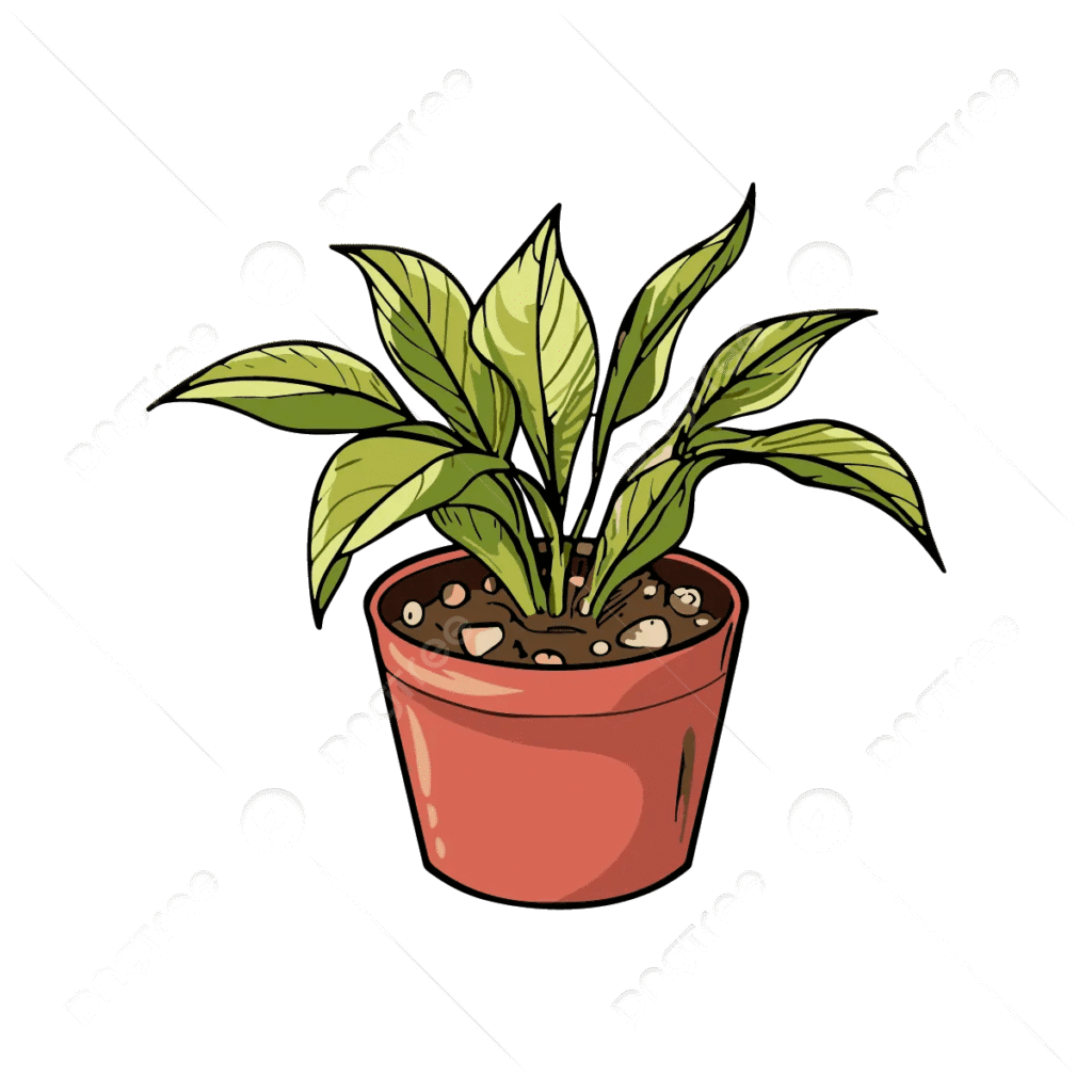 Plants