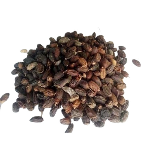 Neem Seeds - Image 3