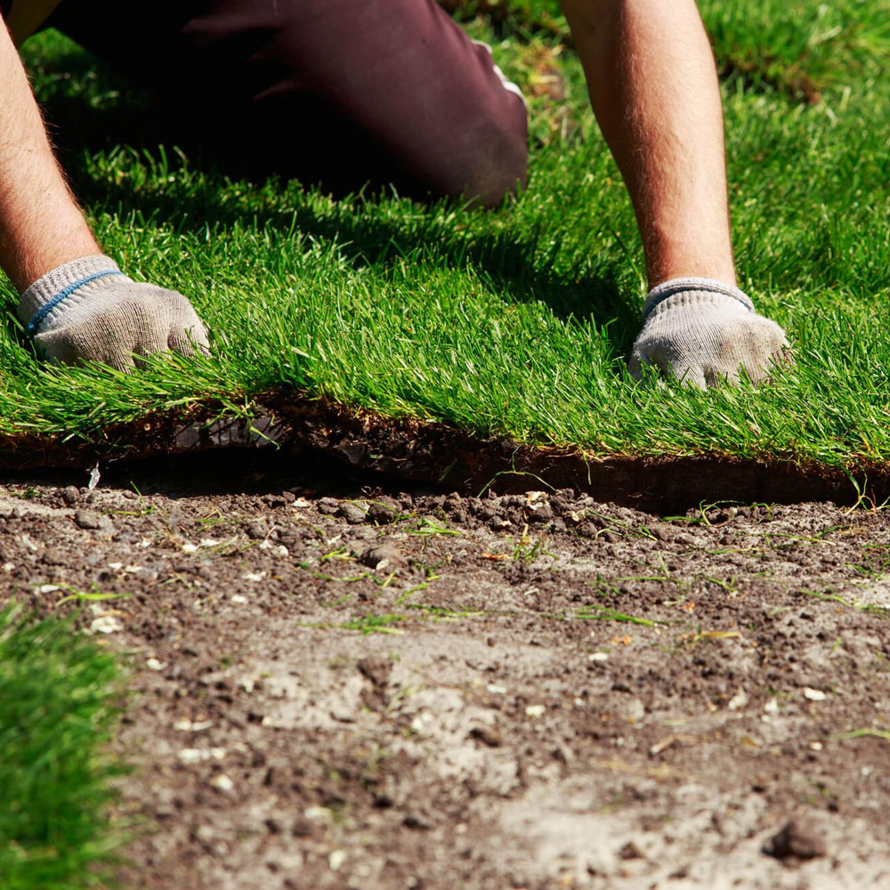 Lawn Installation Service - Image 2