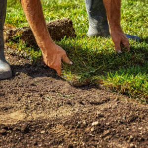 lawn-installation-service-image